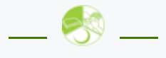 saylani logo